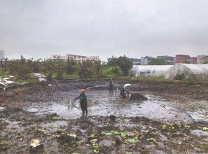 资阳河道鱼塘清淤